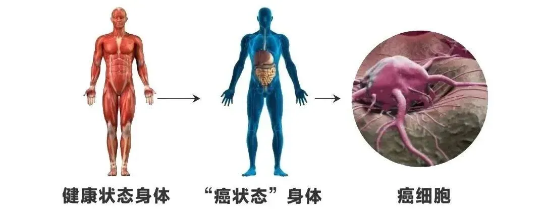 癌状态自测：达到10分及以上，一定要提前干预