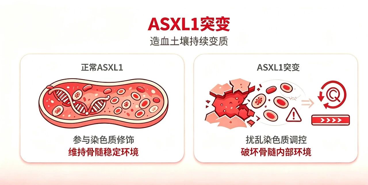 7.27李忠1-4.jpg 7.27李忠1-4.jpg