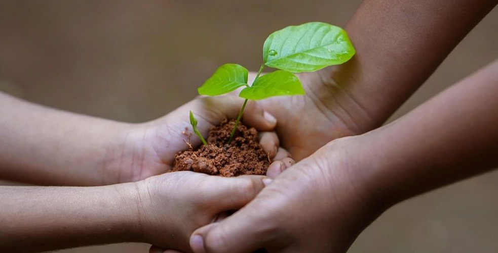 中医抗癌是骗局？有人在怀疑，有人在迟疑，有人已受益！