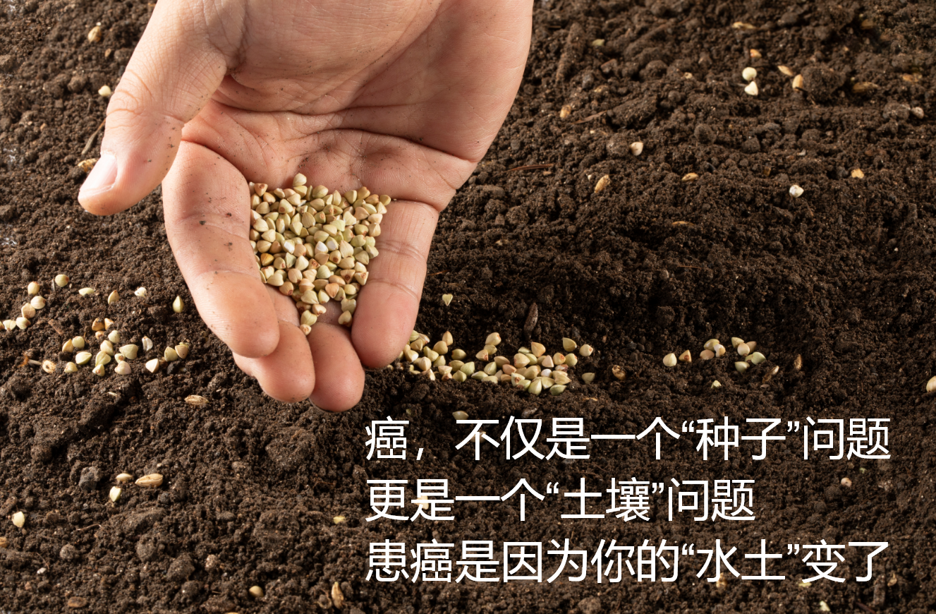 中医肿瘤李忠教授：治疗肿瘤，有4个环节，一个都不能少！