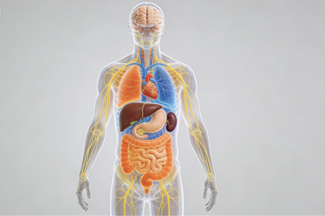 从头到脚说防癌：10个关键部位的防护要点