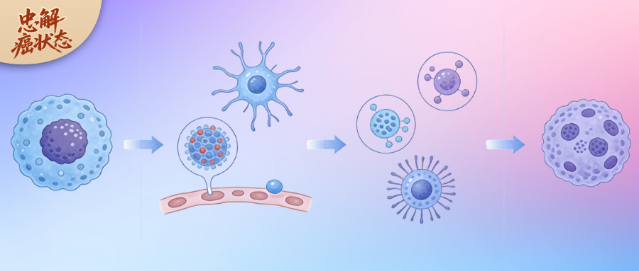 癌细胞不是乱转移：每种癌都有专属“偏好靶点”